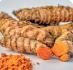 Turmeric Rhizome